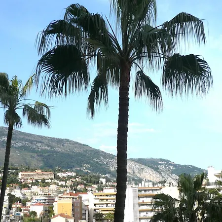 Apartamento Grand 2 Pieces Climatise, Terrassse Vue & Proche Fete Du Citron